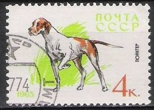 z vendido Rusia URSS 1965 Scott 3003 Sello * Fauna Perros Pointer Timbre Russie Preobliterè Russia matasello de favor preobliterado  